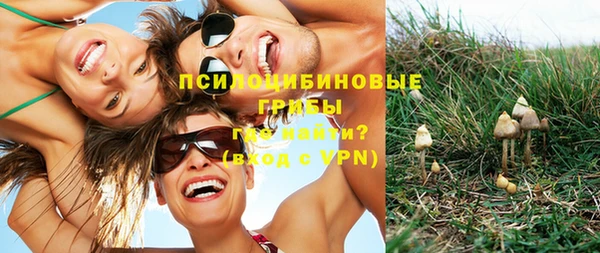 ПСИЛОЦИБИНОВЫЕ ГРИБЫ Козельск