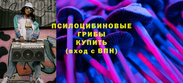 ПСИЛОЦИБИНОВЫЕ ГРИБЫ Козельск
