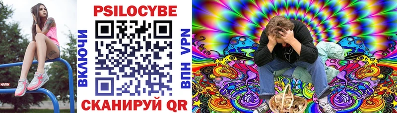 Галлюциногенные грибы Magic Shrooms  Купить  Верхняя Пышма 